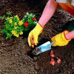 Wolf Garten WOLF-Garten Galvanised Flower Trowel Garden Tools & Axes 8 Wolf Garten WOLF-Garten Galvanised Flower Trowel Garden Tools & Axes