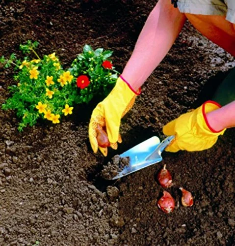 Wolf Garten WOLF-Garten Galvanised Flower Trowel Garden Tools & Axes 5 Wolf Garten WOLF-Garten Galvanised Flower Trowel Garden Tools & Axes