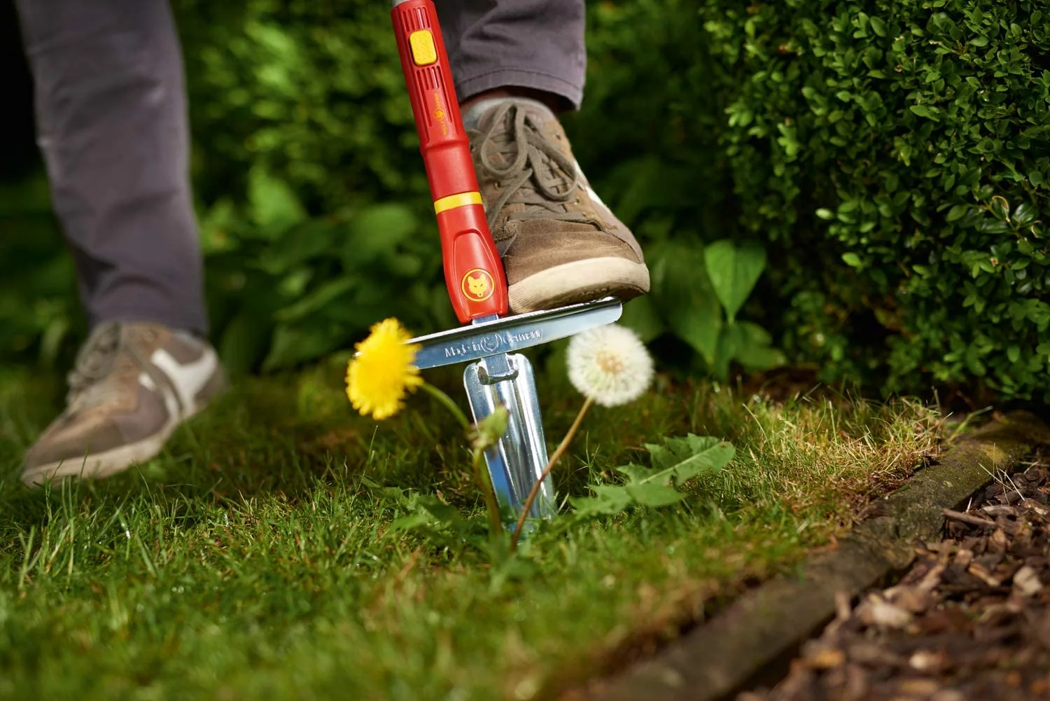 Wolf Garten Garden Tools & Axes WOLF-Garten: Multi: Weed Extractor 4 Wolf Garten Garden Tools & Axes WOLF-Garten: Multi: Weed Extractor