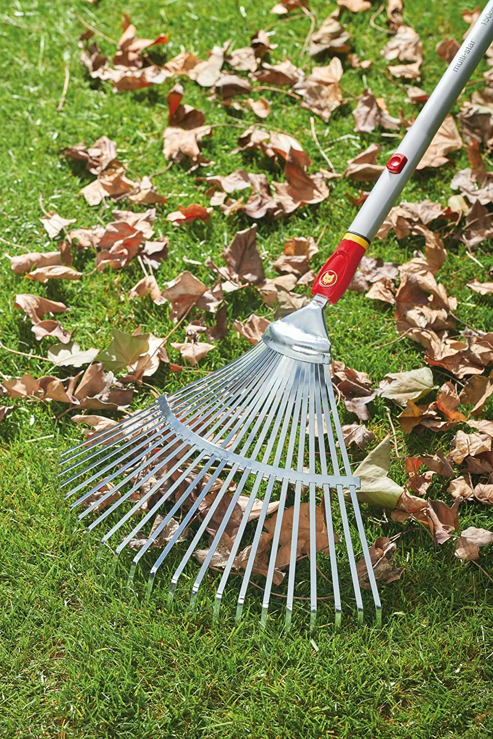 Wolf Garten WOLF-Garten Multi: Lawn Rake (Spring Steel) 4 Wolf Garten WOLF-Garten Multi: Lawn Rake (Spring Steel)