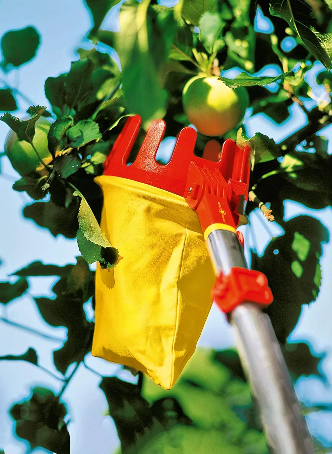 Wolf Garten WOLF-Garten Multi: Fruit Picker Garden Tools & Axes 4 Wolf Garten WOLF-Garten Multi: Fruit Picker Garden Tools & Axes