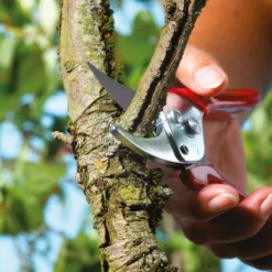 Wolf Garten Garden Tools & Axes WOLF-Garten Bypass Garden Shear: Classic Economy