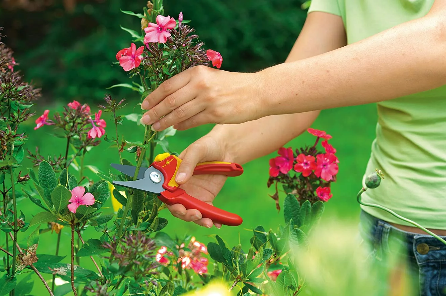 Wolf Garten WOLF-Garten Bypass Secateurs Hand Saws 4 Wolf Garten WOLF-Garten Bypass Secateurs Hand Saws