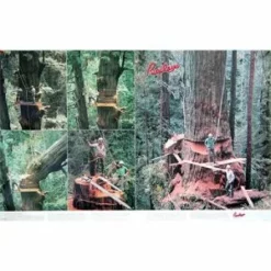 No Brand Baileys Poster Books For Arborists