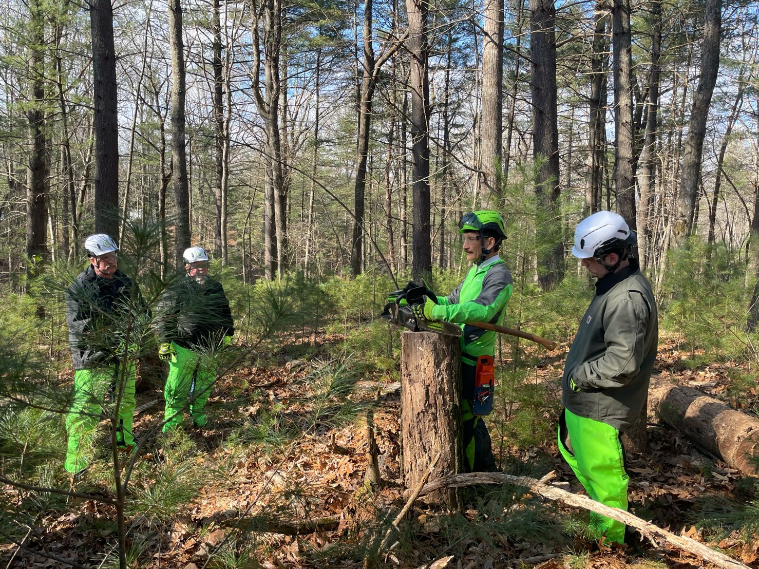 Cheap Arbormaster Store -Cheap Arbormaster Store 272976704 4598416163600799 7156178891472383480 n