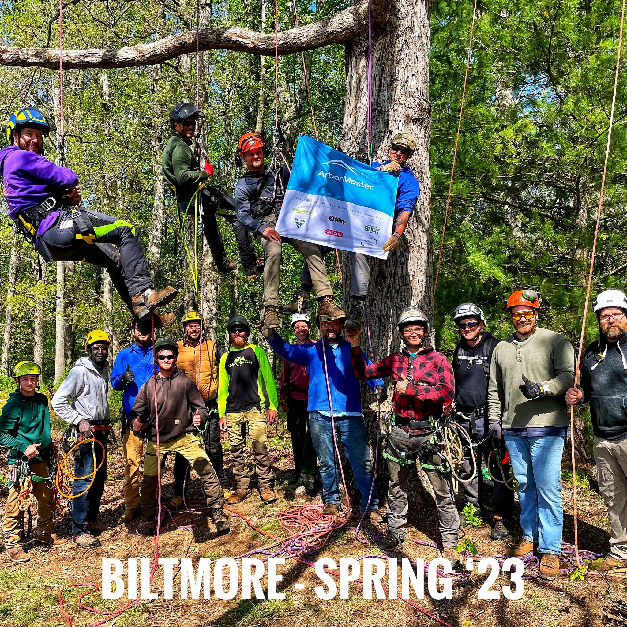 Cheap Arbormaster Store -Cheap Arbormaster Store 368992023 745667844234948 2445471440766319592 n