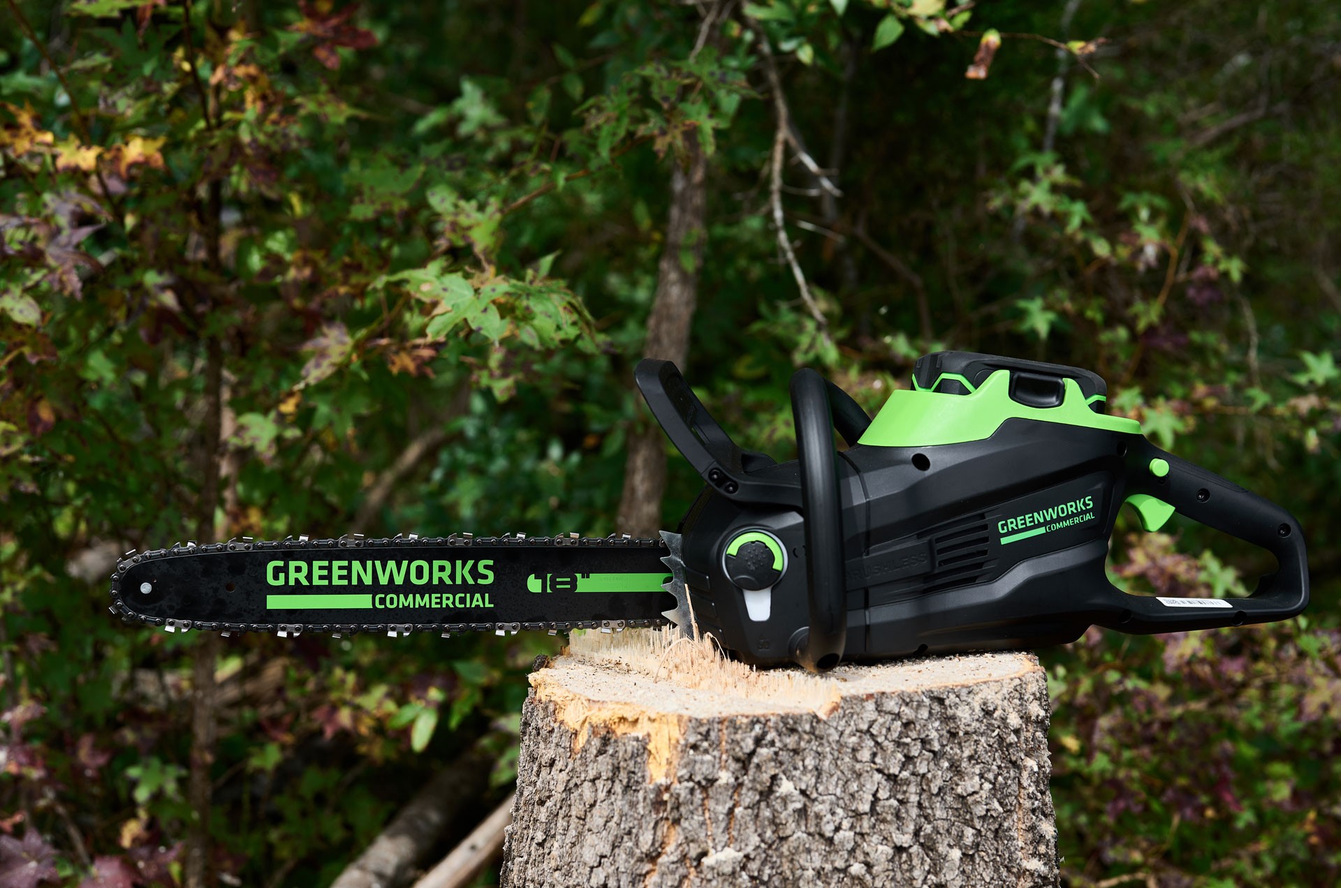 Cheap Arbormaster Store -Cheap Arbormaster Store 386655298 776403184494747 2732275388598598496 n